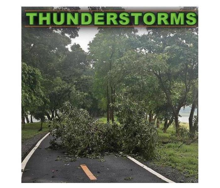 Picture of fallen trees on street with green word saying thunderstorms