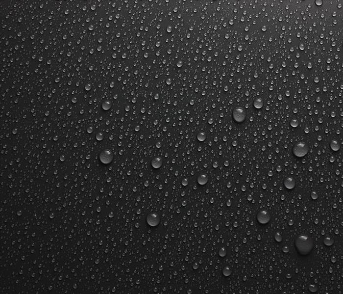  Wet Surface