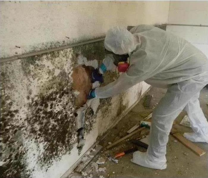 Image of a person with proper clothing removing black mold from white wall. 