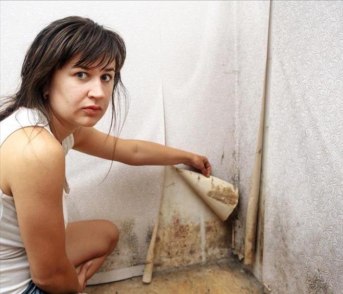 Image of a person finding mold on walls 